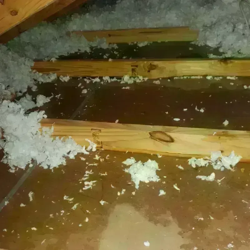 Attic Water Damage in Gridley, IL