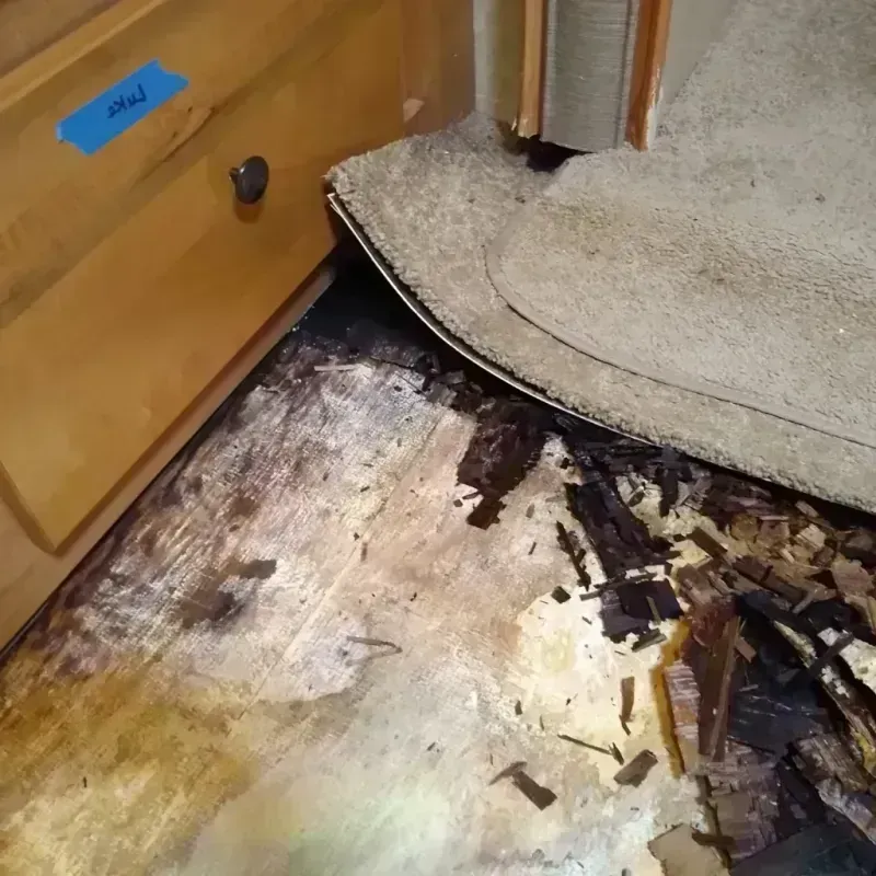 Wood Floor Water Damage in Gridley, IL